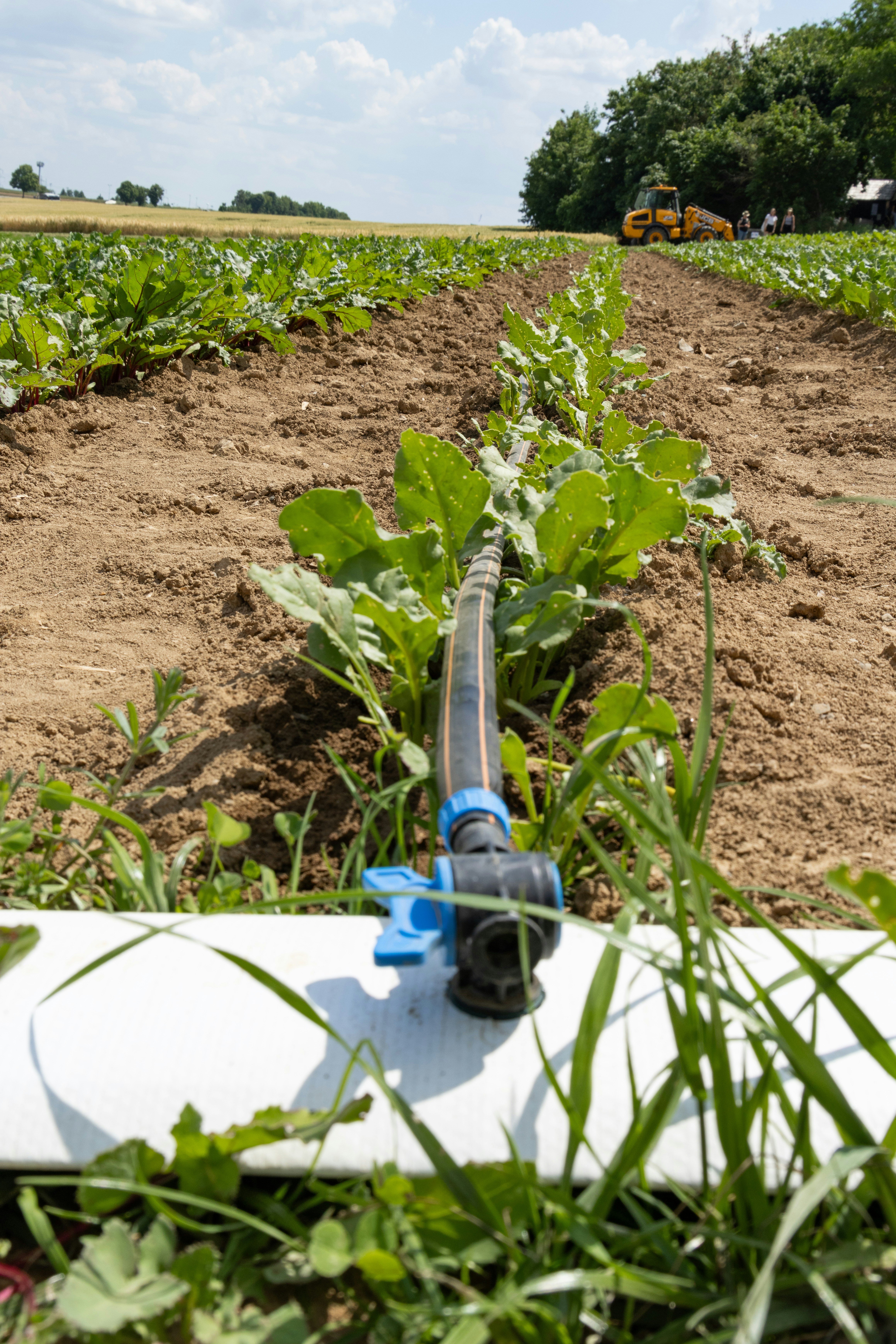 Sistema de riego inteligente en campo de cultivo